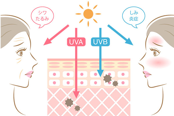 紫外線のUBAとUVB